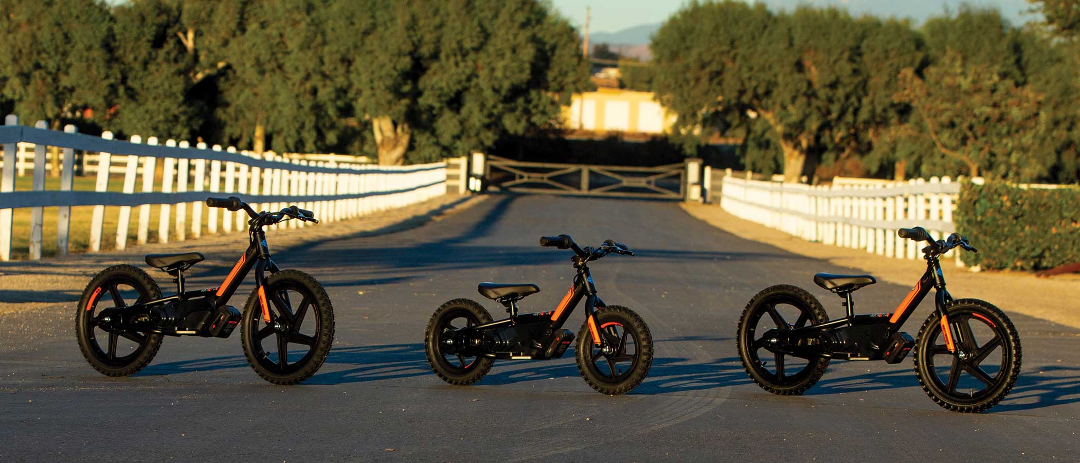 harley electric balance bike