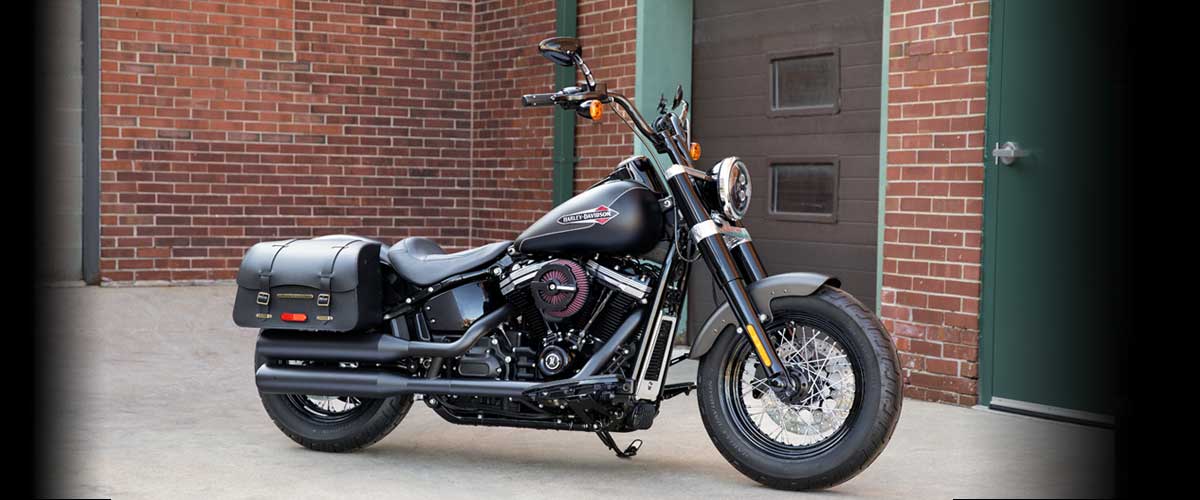 Harley softail slim deals custom