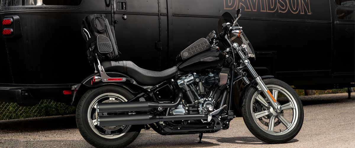 Softail standard store custom