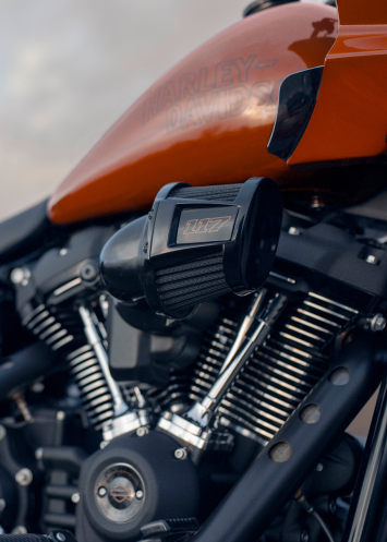 Harley-Davidson Tank Bra, Black in 2023  Harley davidson, Harley,  Motorcycle parts and accessories