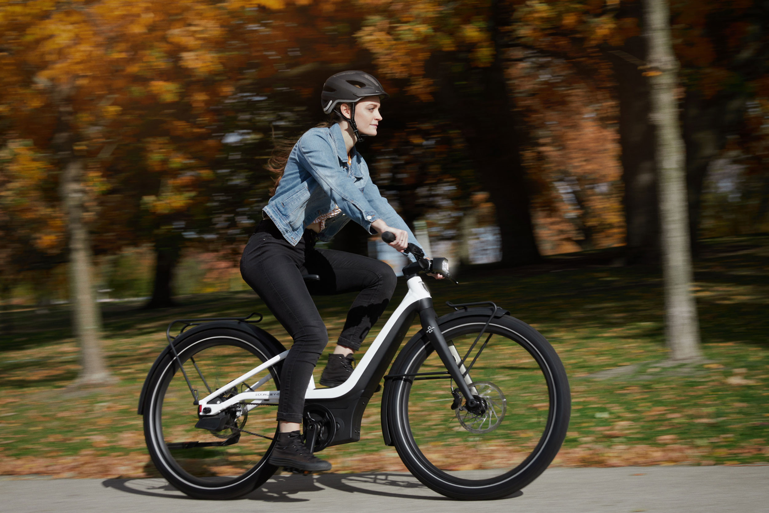 harley davidson motorized bicycle