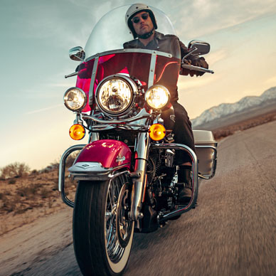 2019 Harley-Davidson Electra Glide Standard First Look