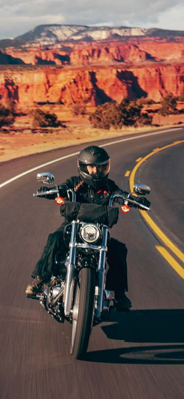 Softail Standard®  Mathews Harley-Davidson®