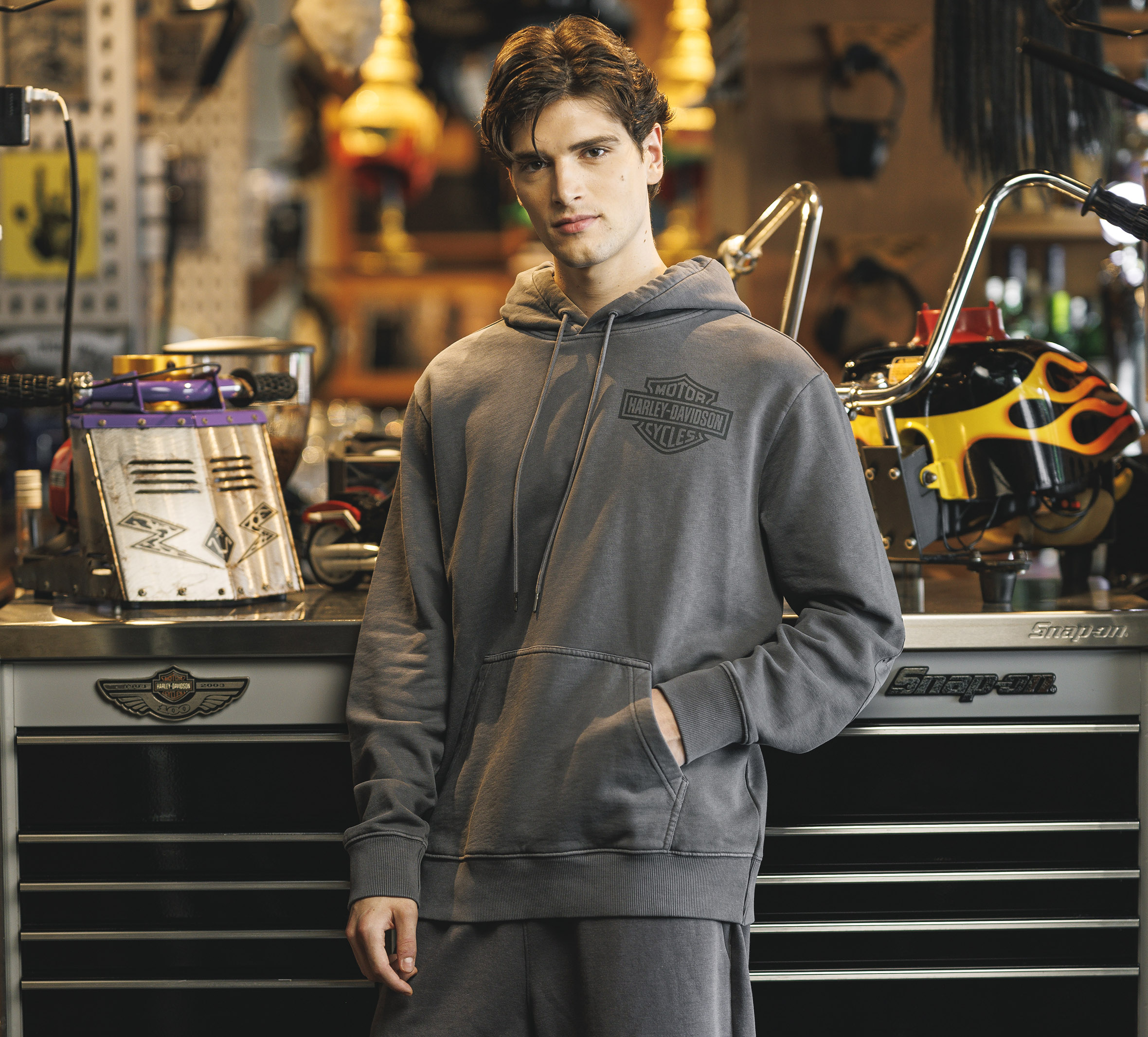 Men's Bar & Shield 3D Hoodie | Harley-Davidson APAC