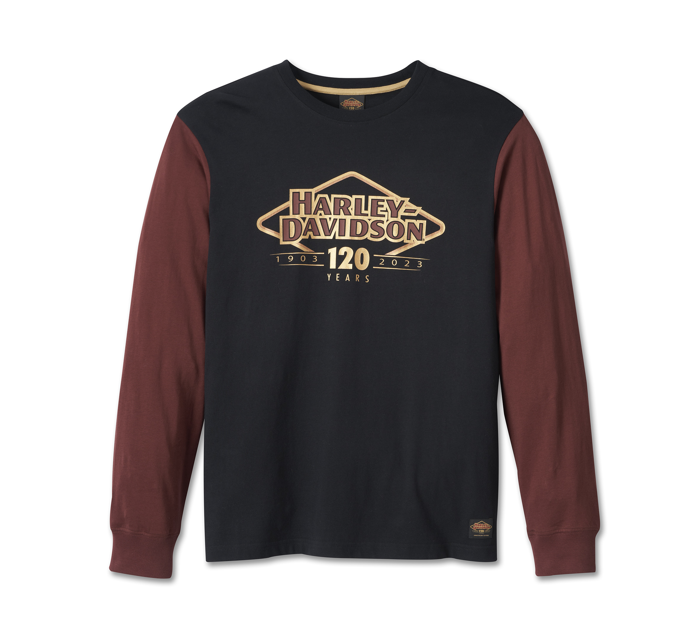 Men's 120th Anniversary Colorblock Tee | Harley-Davidson TW