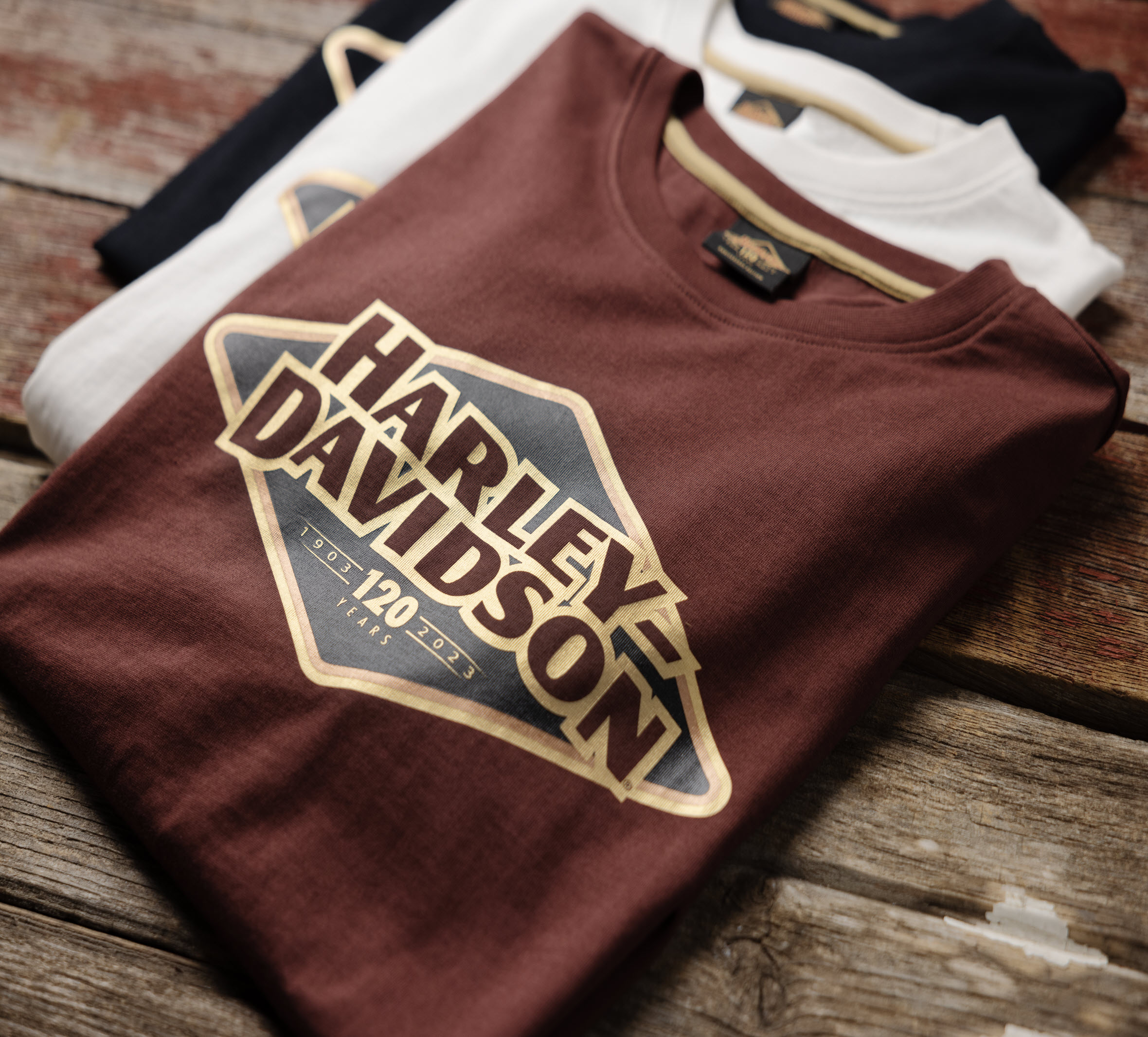 Men's 120th Anniversary Tee - Rum Raisin | Harley-Davidson USA