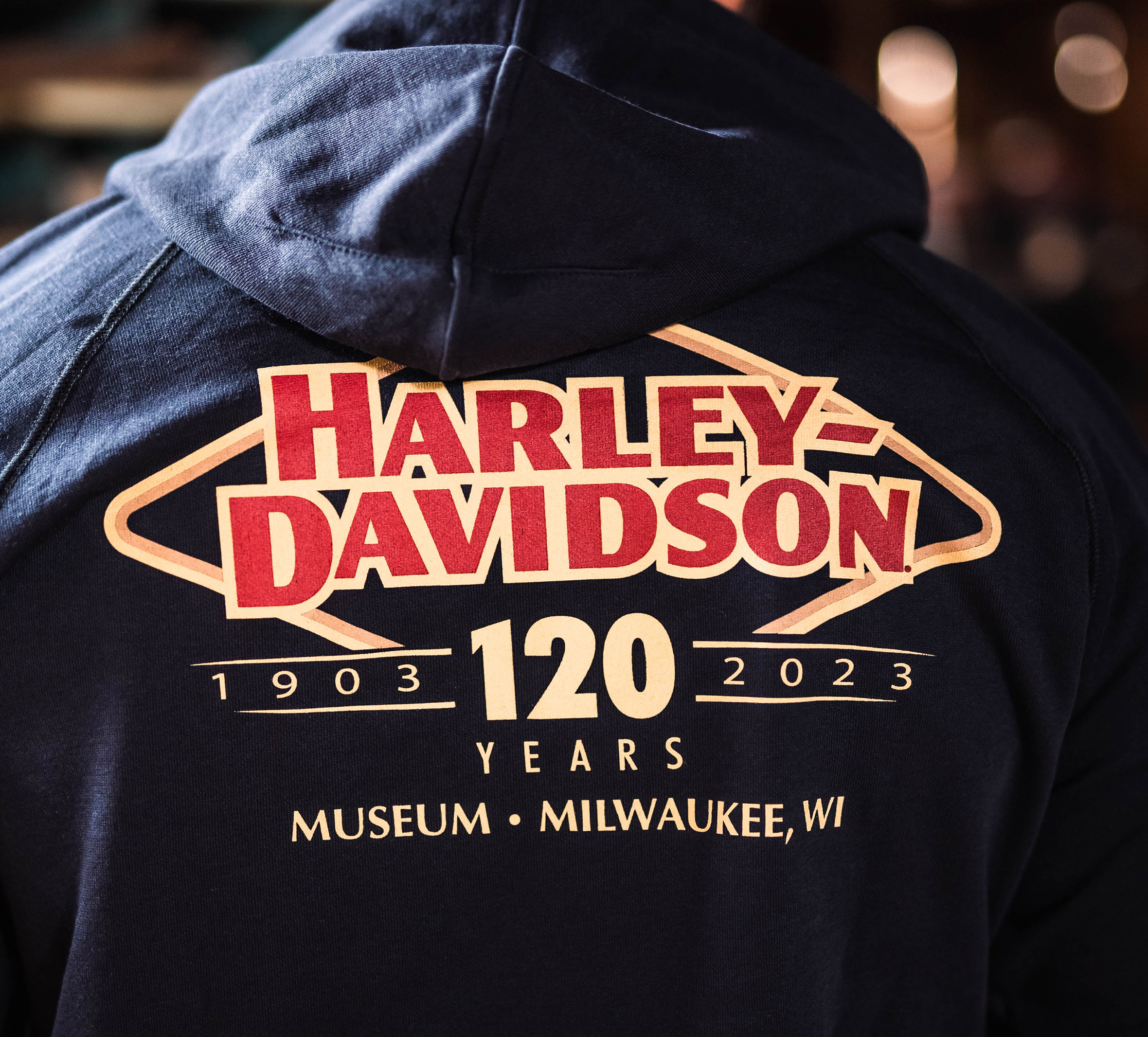 Hoodie harley deals davidson