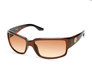 Rectangular Sunglasses - Shiny Dark Brown - Shiny