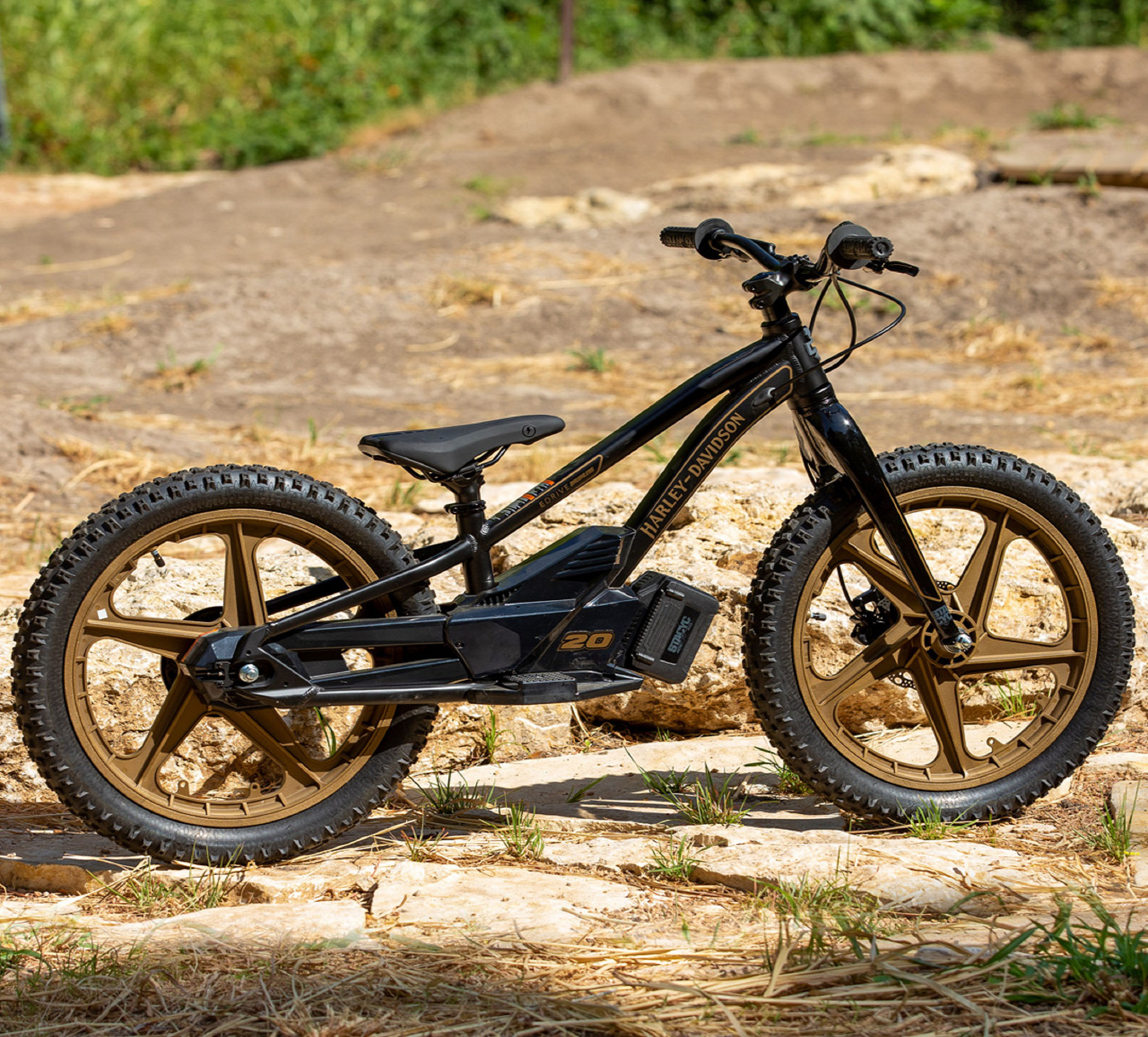 Harley davidson deals electric mountain bike