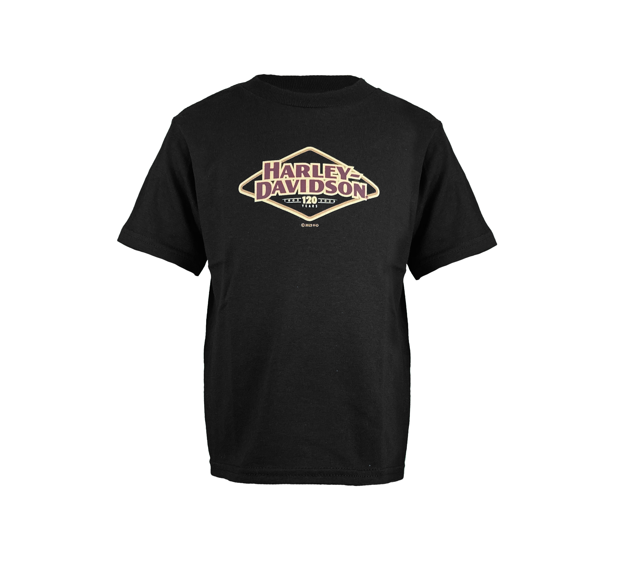 Little Boys 120th Anniversary T-Shirt | Harley-Davidson USA