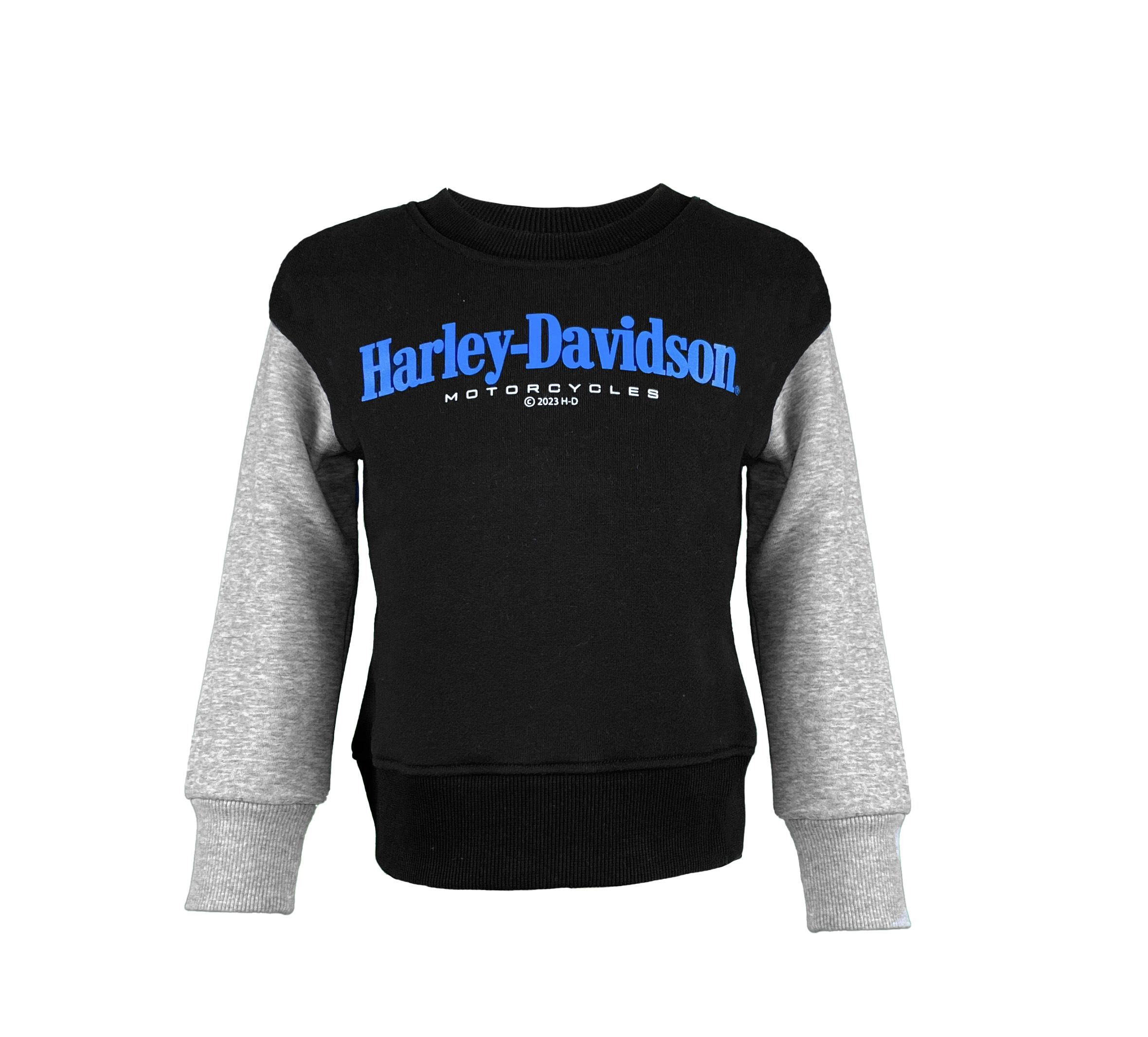 肩幅46【専用】Harley-Davidson Cowhide pullover