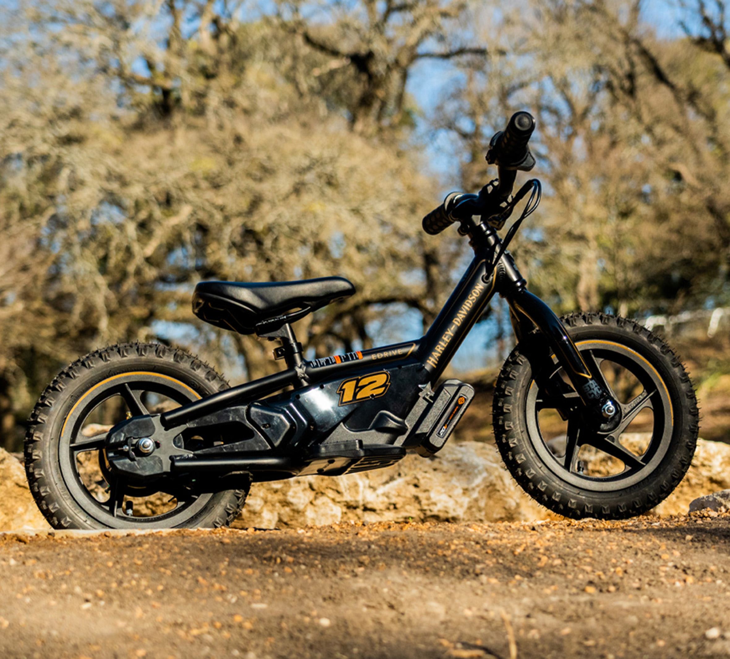 H-D 12 eDrive eBike | Harley-Davidson USA