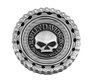 The Skull Chain Coin
