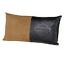 Open Bar & Shield Pillow