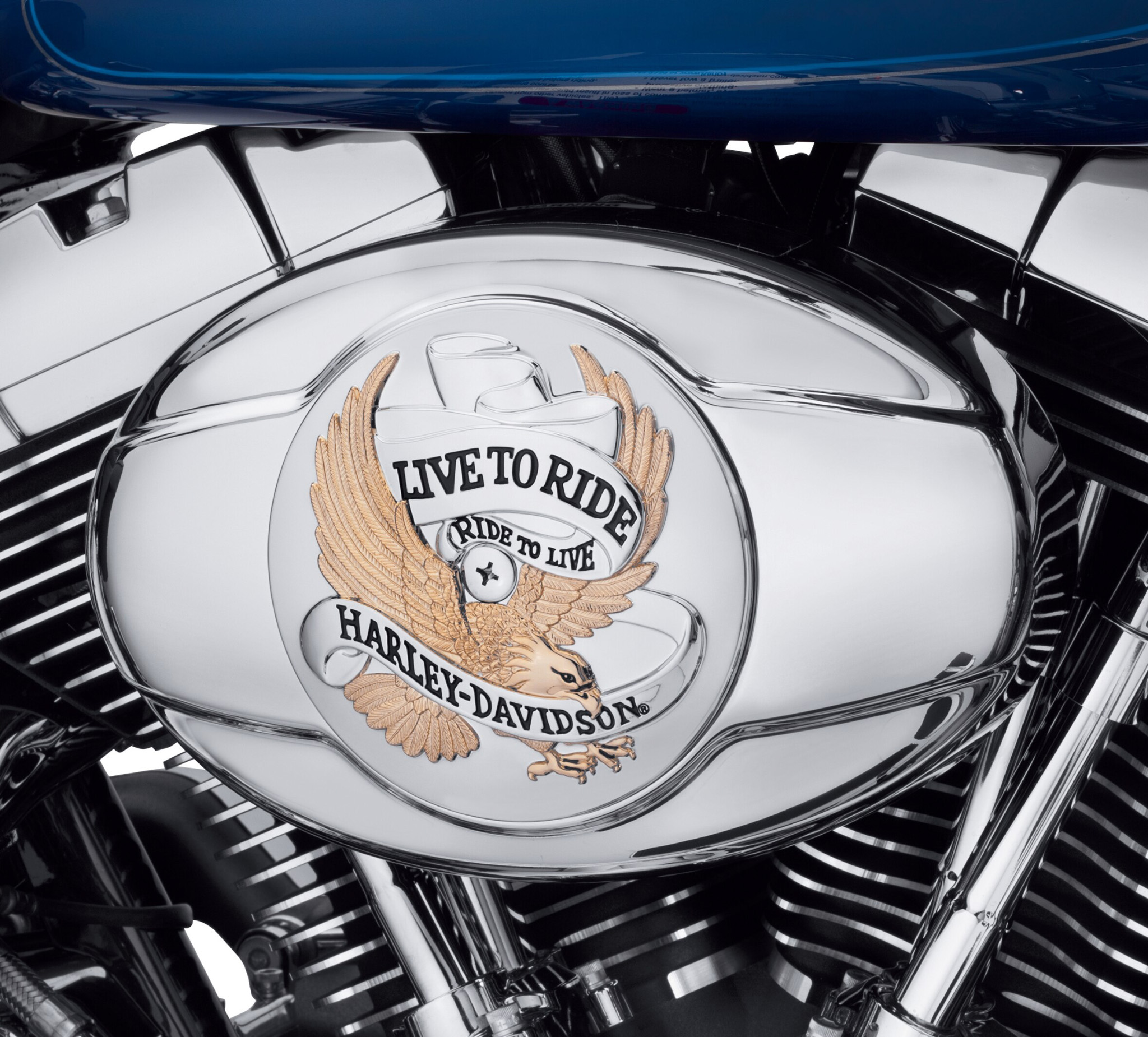 Live to ride sales harley davidson accessories