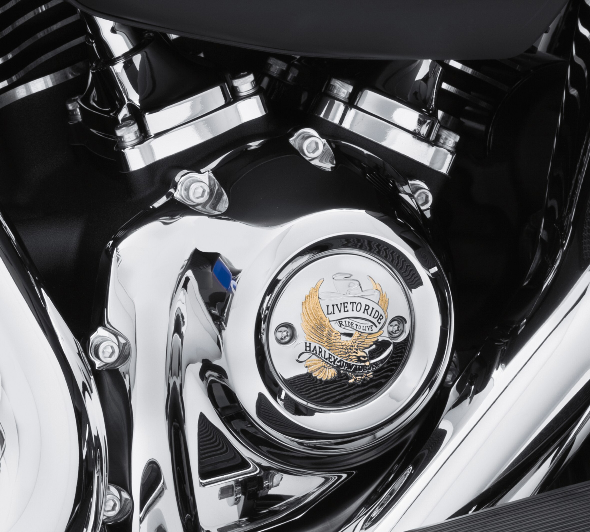 Live to ride harley best sale davidson accessories