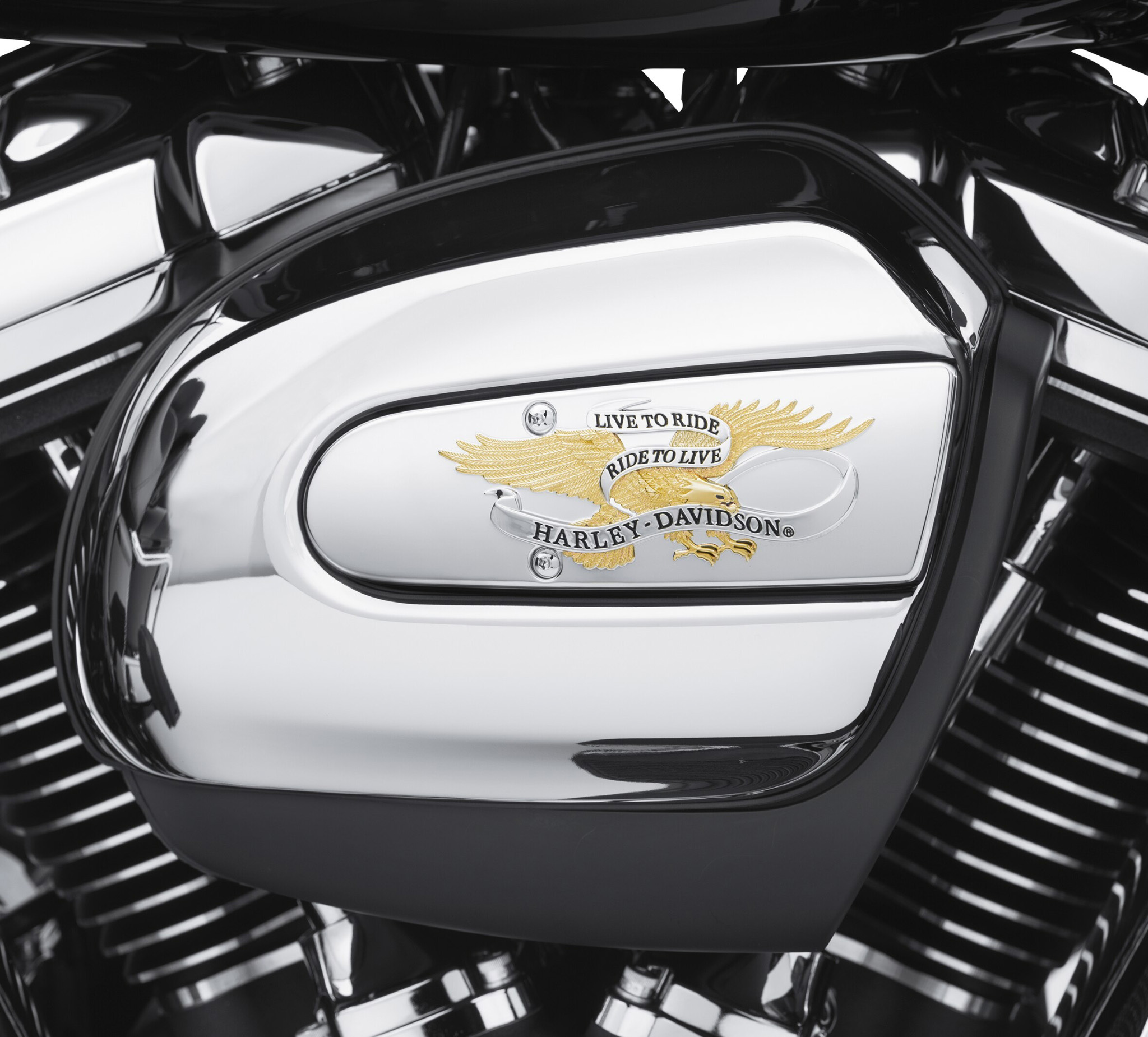 Live to ride hot sale harley davidson accessories