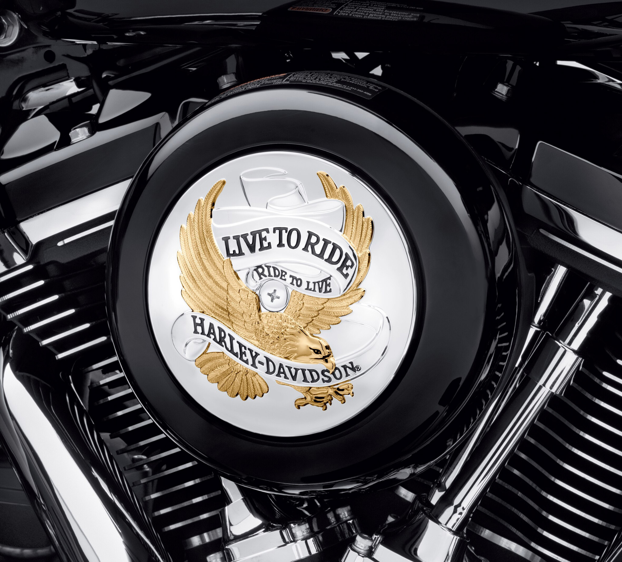 Live to Ride Harley Davidson
