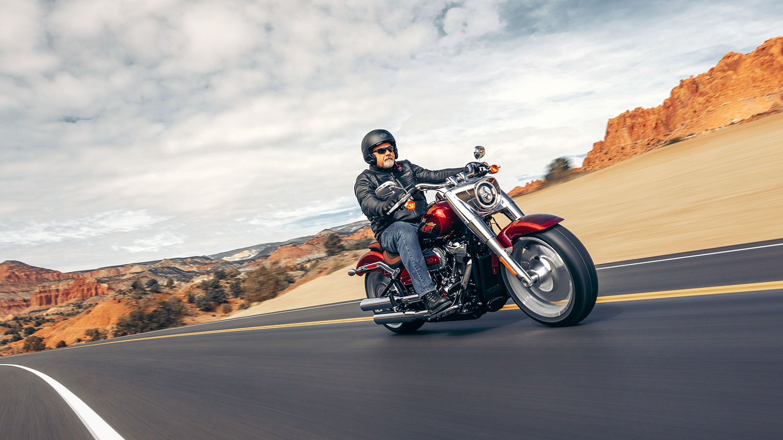 Harley davidson best sale fatboy anniversary edition