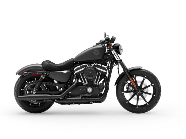 Used 2019 Iron 883 In Undefined 